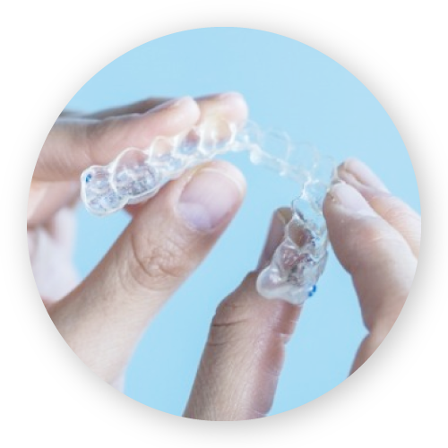 ラピッドシェイプ